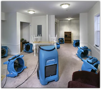 Water Damage Restoration services in Federal Way, WA