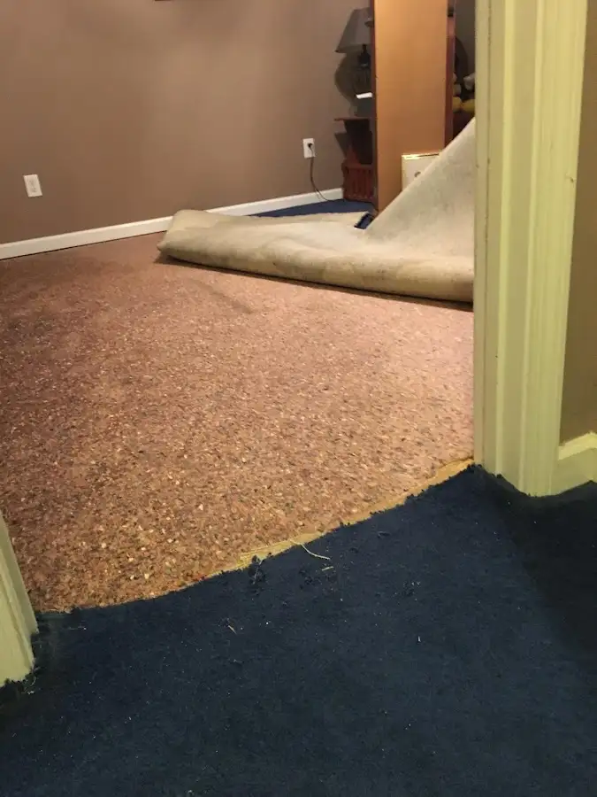 Carpet pad removal revealing water damage during Drying & Dehumidification in Federal Way