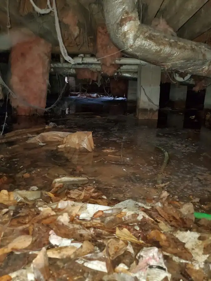 Crawl space flood assessment for Leak Detection & Repair in Federal Way