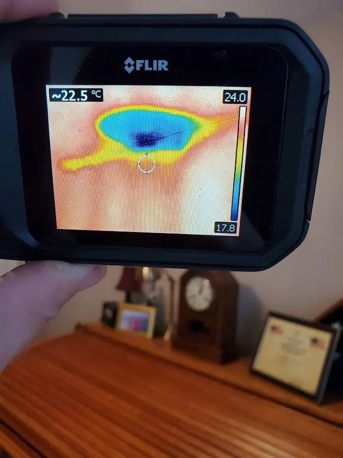 Thermal imaging inspection for water damage in Federal Way