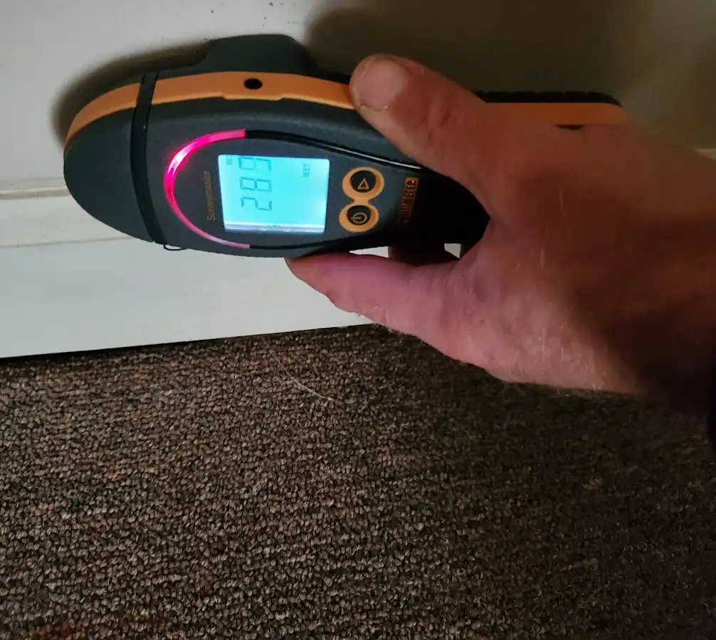 Moisture detection at baseboard during Storm Damage Restoration in Federal Way